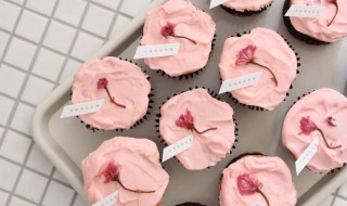 草莓味樱花芝士的做法 草莓味芝士蛋糕