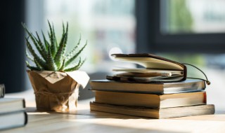 不夜城芦荟怎么养粗（不夜城芦荟好养吗）