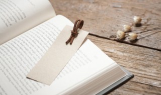 诸如此类是什么意思（诸如此类是什么意思拼音）