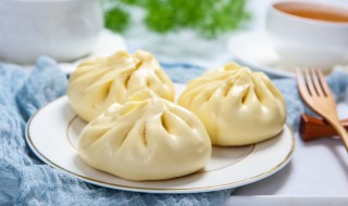 笋干鲜肉包子的做法 笋干鲜肉包子的做法视频