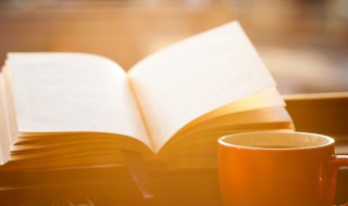 有一得一是什么意思(一什么一得?)