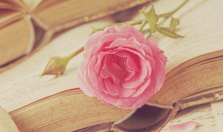 各色人等是什么意思（一个人色是什么意思）