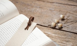 别出新意是什么意思(别出新意的别)