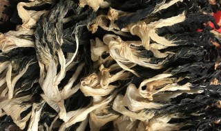 菜干汤的功效与禁忌 菜干汤的功效与禁忌视频