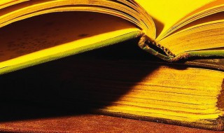 狮子搏兔亦用全力是什么意思（狮象搏兔皆用全力下一句）