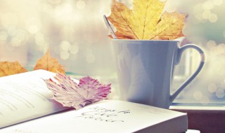 饭来张口是什么意思(饭来张口是什么意思网络用语)