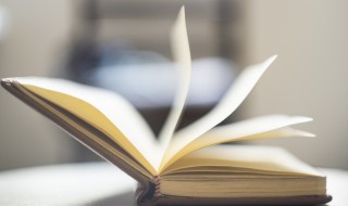 批郤导窾是什么意思（批郤导窾的意思是什么意思）