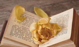 成则为王败则为贼是什么意思（成则为王败则为贼是什么意思啊）