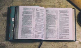 踏破铁鞋无觅处得来全不费工夫是什么意思 踏破铁鞋无觅处得来全不费工夫解释