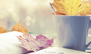 福兮祸所伏祸兮福所倚是什么意思 福兮祸之所伏,祸兮福所倚什么意思