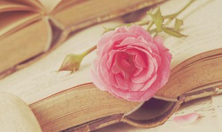 个性霸气朋友圈（个性霸气朋友圈文案）