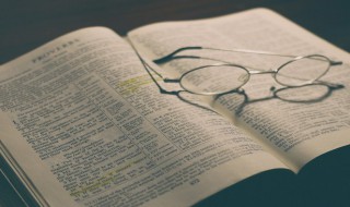 精辟的人生哲理段子精选(哲理段子 人生感悟)