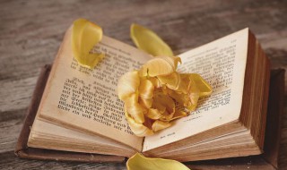 值得收藏的高质量温柔文案（一些温柔到极致的文案）