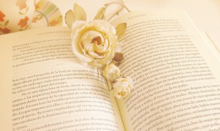 有深意的人生哲理（有深意的人生哲理古语）