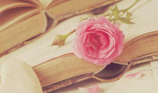 论千论万是什么意思（什么什么论千）