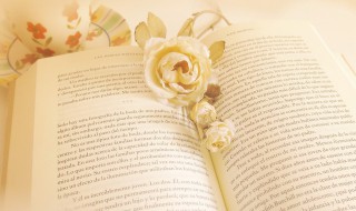 顾曲周郎是什么意思（周郎顾曲的顾是什么意思）