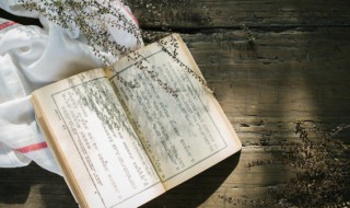 水流湿火就燥是什么意思 湿为水火之中气