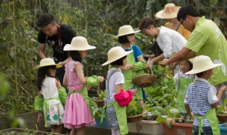郊游剧情介绍（郊游3剧情）