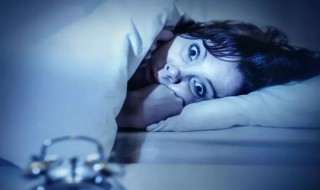 梦见刺猬 梦见刺猬是什么意思