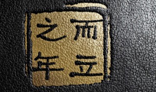 而立之年剧情介绍(而立之年大结局介绍)