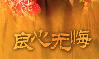 良心无悔剧情介绍 电视剧良心无悔剧情介绍