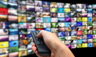 僵剧情介绍(僵剧情结局)