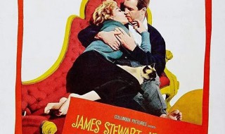 夺情记剧情介绍（夺情记剧情介绍结局）