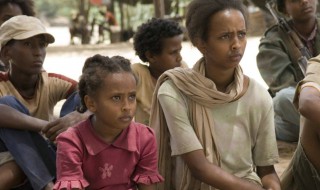 心火剧情介绍（心火剧情介绍演员表）