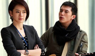 真情剧情介绍（真情剧情介绍简介）