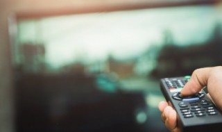 本回来了剧情介绍（本回家了剧情解析）