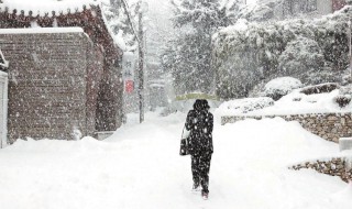 大雪的寓意和象征 大雪的寓意和象征英语