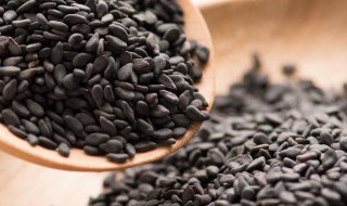 芝麻生长需要什么环境 芝麻生长需要什么环境条件