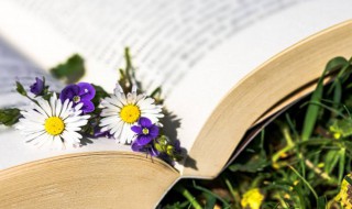 成熟正能量的网名（成熟正能量的网名男）