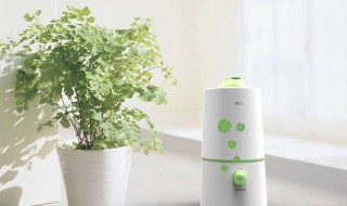 加湿器能直接对着脸吹吗 加湿器对脸吹一晚上