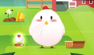 摩尔庄园怎么养小鸡（摩尔庄园的鸡怎么养）