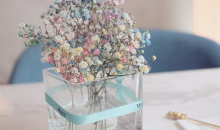 满天星在花瓶里怎么养（花瓶里的满天星怎么养）