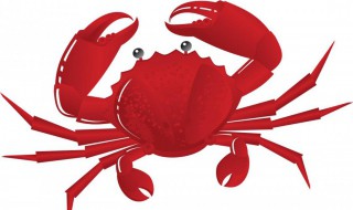 螃蟹如何养两到三天 螃蟹可以养到第二天吗