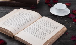 女生网名文静的（文静内涵优雅女生网名）