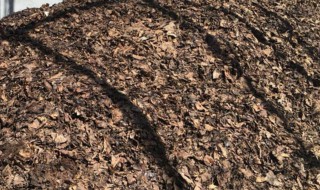 怎样自制腐叶土（怎样自制腐叶土养花）
