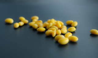 黄豆的家常做法 咸鱼炖黄豆的家常做法