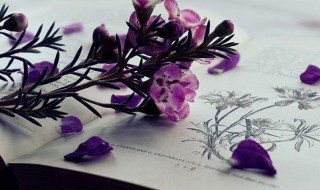 文静淑女网名两个字（文静淑女网名两个字带符号）