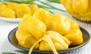 菠萝蜜储存技巧（菠萝蜜的储存方法及吃法）