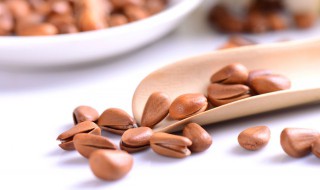 松子的储存方法和技巧（松子的储存方法和技巧是什么）