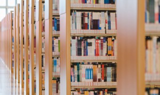 夺舍和献舍是什么意思（夺舍 献舍什么意思）