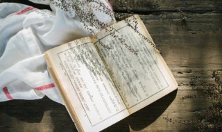 虢怎么读音是什么意思 虢是什么字怎么读