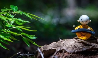 空山不见人但闻人语声意思 空山不见人但闻人语声意思是什么