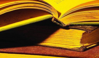 林深见鹿海蓝见鲸梦醒见你什么意思（林深时见鹿 海蓝时见鲸 梦醒时见你是谁说的）