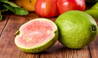 番石榴一年结几次果(番石榴树一年结几次果)