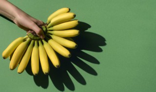 芭蕉树砍了还能长吗（芭蕉树结果后砍掉老树吗）