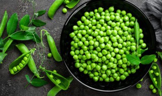 豌豆怎么移栽（豌豆移栽方法）